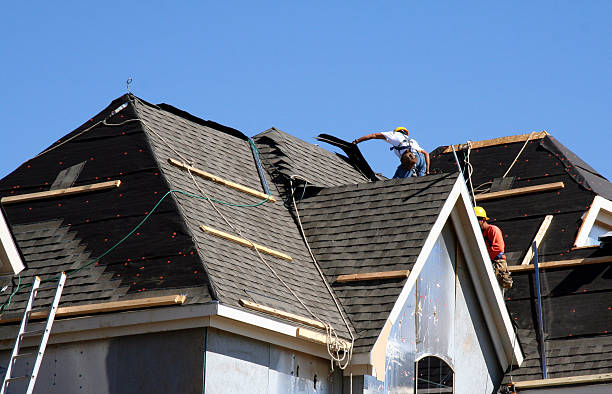 Best Roof Leak Repair  in Hebbronville, TX